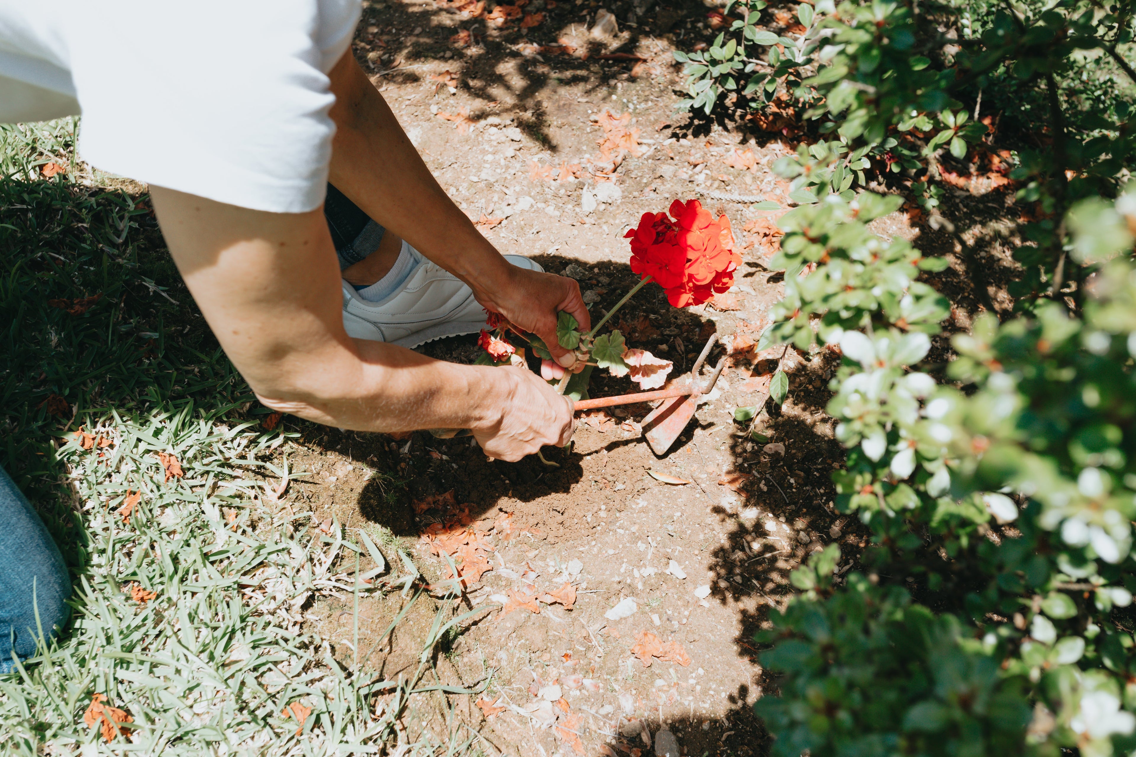 Garden Ease
